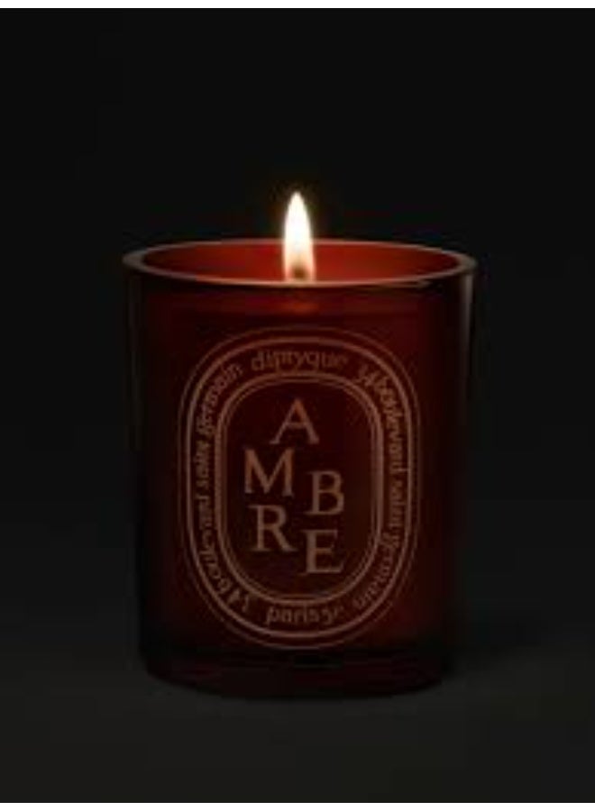 Diptyque Ambre Coloured Candle  300G - Image 3